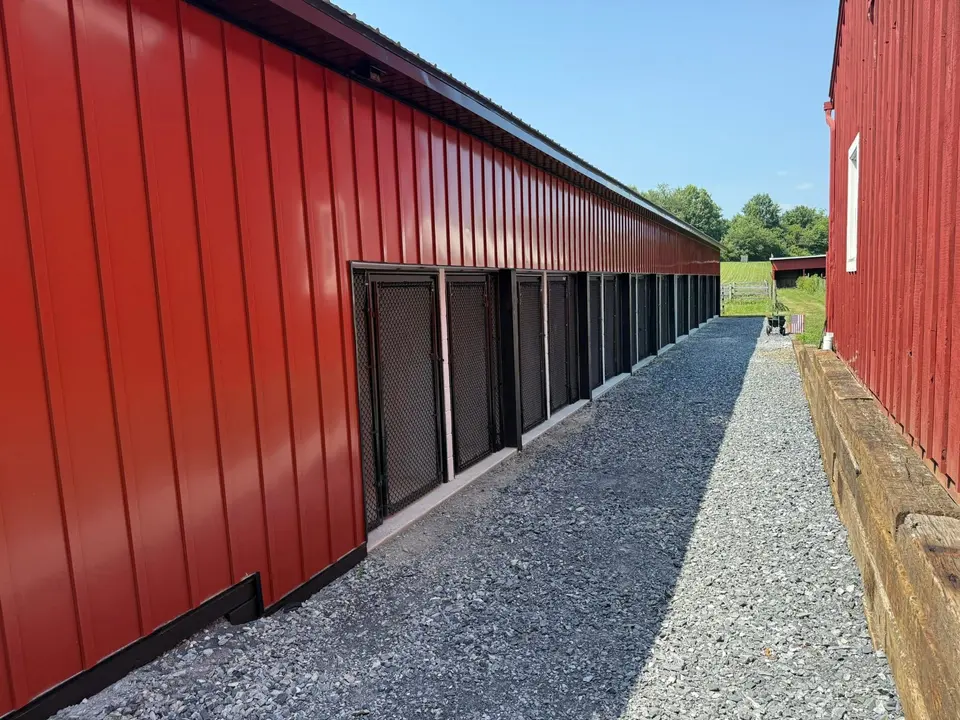 Outdoor kennel runs along the kennel building at Iron Rose Kennels
