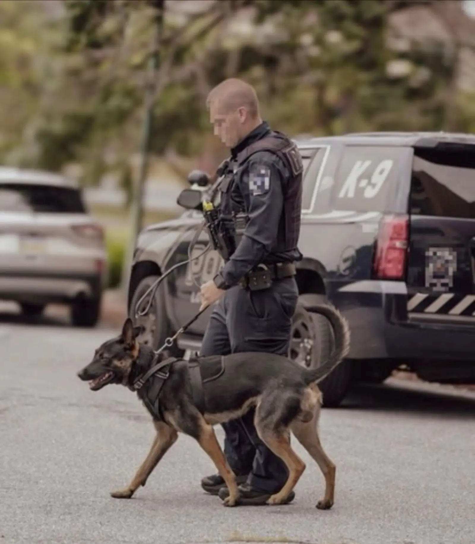 A K9 handler walking a patrol dog past a marked K-9 vehicle