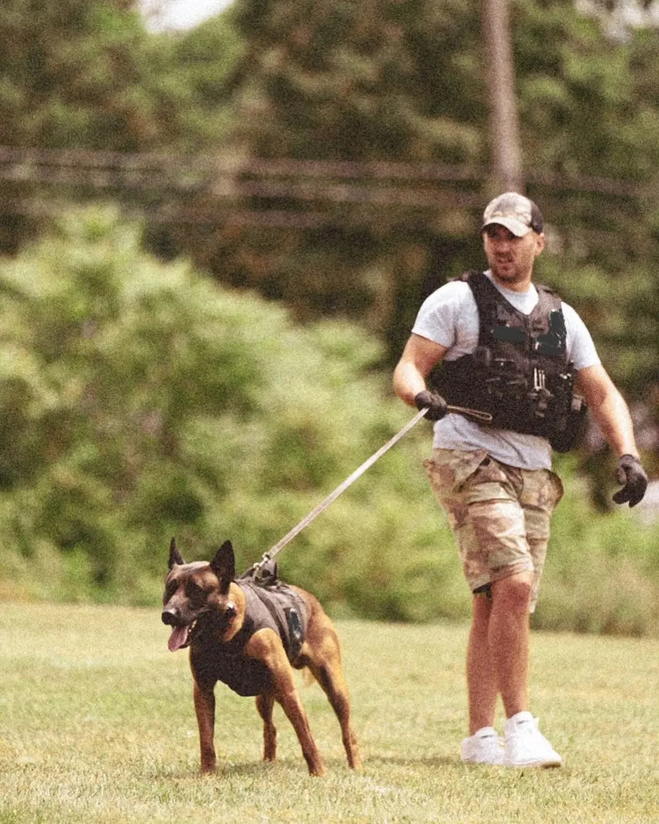 A trainer in protective gear running with a Belgian Malinois during bite work training